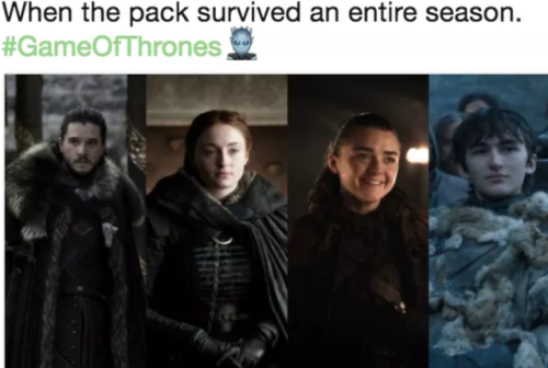 Best internet reaction of GoT