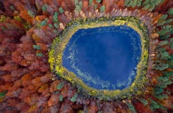 Bird’s eye view (flying over a lake in