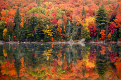 mstrswoodsprite:  adventures-in-autumn: 