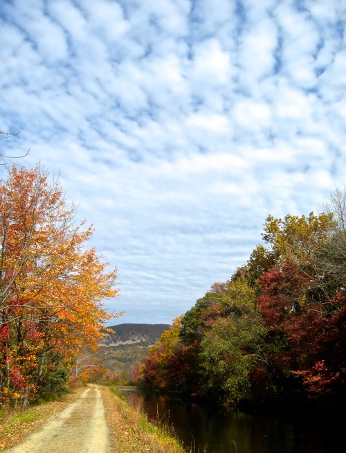 Autumn canal path.