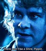 tossme:  one gifset per character           ↬ Meriadoc Brandybuck           