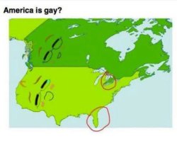 thebest-memes:  “America is gay?”