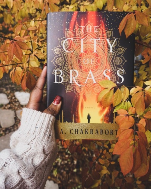 Hey book babes!I’m so excited to tell y’all about THE CITY OF BRASS *pauses so we can all marvel at 