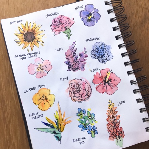 8-butt:Some flowers that you guys requested! It’s fun to experiment with watercolor even if I have no idea what I’m doing