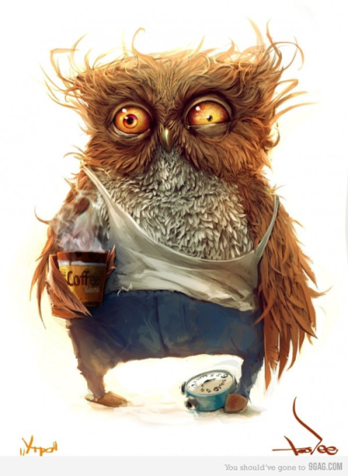 The nightowl at breakfast Source - http://www.9gag.com