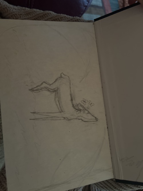 Give Me One Good Reason To Actually Paint And Finish This. One Good Reason. Why Shouldnt I Leave It As
