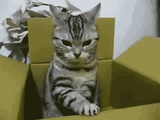gif-giz:  kiralık hasta yatakları