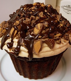 breetries:  yummyfoooooood:  Huge Chocolate Cupcake  Omgfffgggg
