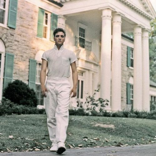 traderrock: Elvis at Graceland, 1957.