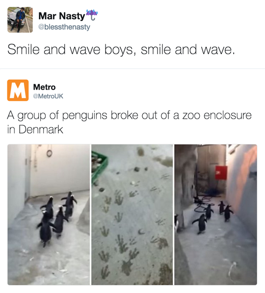 tastefullyoffensive:  (via blessthenasty / MetroUK)
