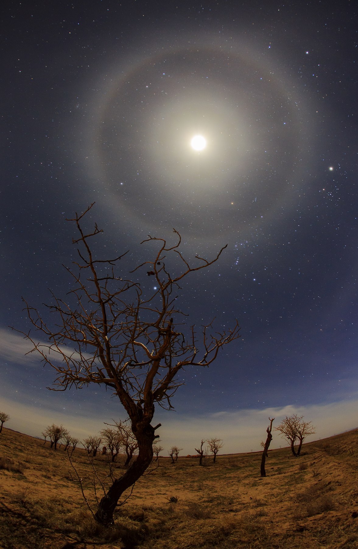    Two Halos Around the Moon by Amirreza Kamkar      Halos around the sun or moon