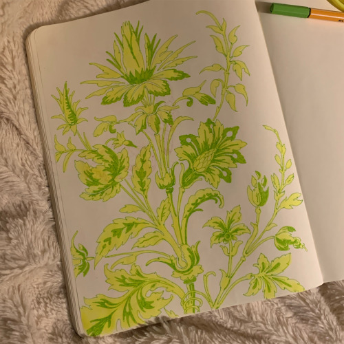 Floral design sketch inspired by these great decorative art books I recently got, which have proven 