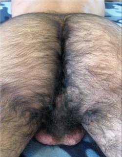locolocal679:  WOOF! So thick you could run a comb through it. Or your tongue.