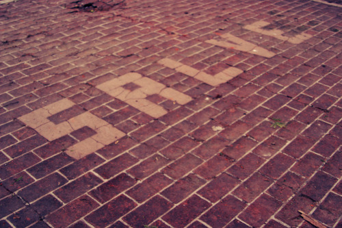 thywanderist:  Daily Snaps, 