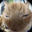 itbjossi:Whatever the person behind SparkNotes’ twitter is being paid it’s not enough pt. who knows I lost count after all my Eurovision posting last night?