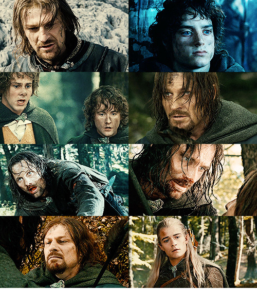 the-writers-ramblings:Lord of the Rings↳ bruised + battered | Fellowship of the Ring