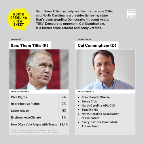 imalovellmachine: nowthisnews: These 2020 races will decide who controls the Senate. Can former Demo