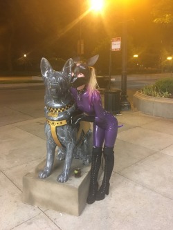 puplaika: submissivepanties23:  In Chicago for IML with my handler @shinymarc ! (And wearing a new catsuit and new tail!)  :o 