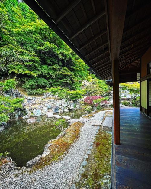 正法寺庭園 / Shobo-ji Temple Garden, Yawata, Kyoto 京都府八幡市の『正法寺庭園』が素敵…！ 徳川家康の後妻で尾張徳川家初代 #徳川義直 の母 #お