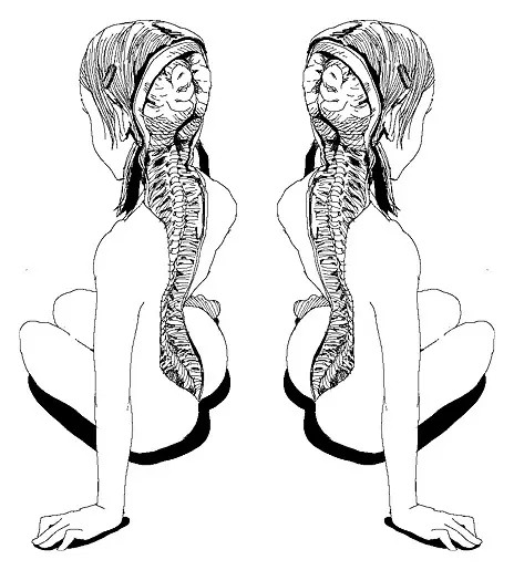 Shintaro Kago