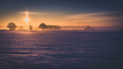 42zx:  Day 22 - “Cold Morning” Another morning of snow and ice, however, instead of dull grey skies, a beautiful soft light crept out across the landscape. I managed to find a large field covered in pristine powdery snow in time to capture it. Canon