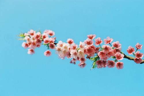 026 by HanPo Lin on Flickr.