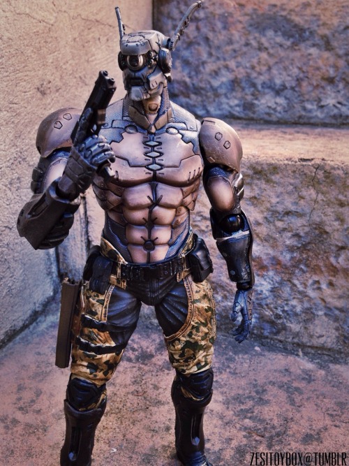 zesitoybox:Play Arts Kai Briareos