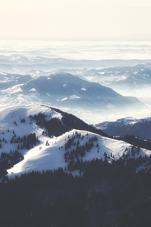 modernambition: Rodnei Mountains | WF 