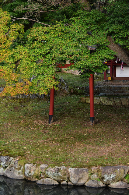 Somewhere in Nara Torii by pokoroto on Flickr.