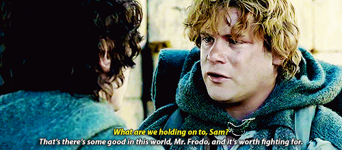 Frodo wouldn’t have got far without Sam.