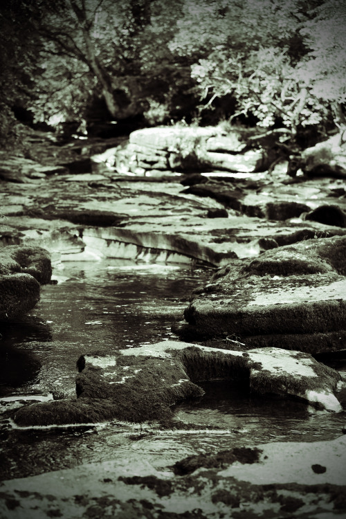 Took advantage of a lovely sunny day and paid a visit to Stenkrith Park, Smardale Gill and the North