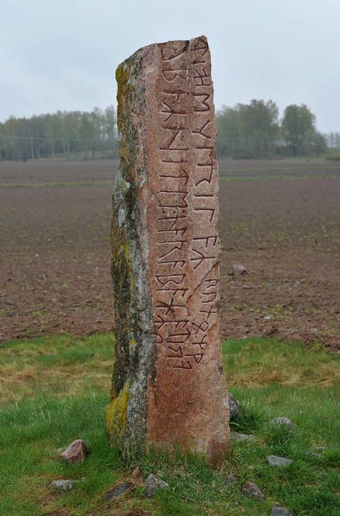lamashtu666:Rune stone in Sweden