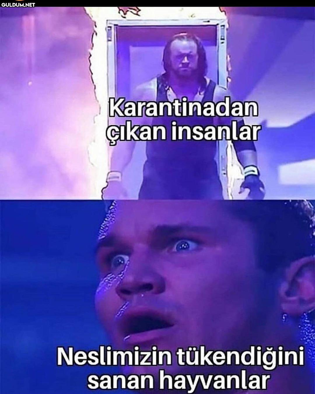 Karantinadan çıkan...