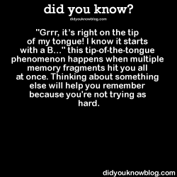 did-you-kno:  &ldquo;Grrr, it’s right on the tip of my tongue! I know it starts with a B…&rdquo; this tip-of-the-tongue phenomenon happens when multiple memory fragments hit you all at once. Thinking about something else will help you remember because