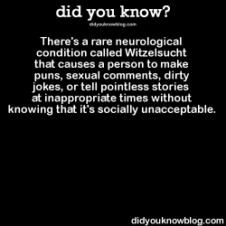 did-you-kno:  There’s a rare neurological condition called Witzelsucht that causes a person to make puns, sexual comments, dirty jokes, or tell pointless stories at inappropriate times without knowing that it’s socially unacceptable.  Source  Guilty