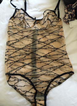 thelingerieaddict:  Ebay Lingerie Roundup: Agent Provocateur + Soiree Under 趚