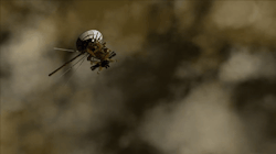 humanoidhistory:  NASA’s Cassini space probe skirts the upper edge of Saturn’s atmosphere, circa 2017.