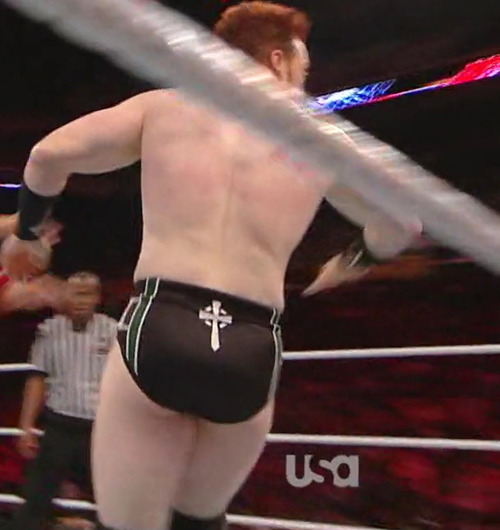 gingermilkytea:  themastersofwar:  gingermilkytea:  Sheamus has the best thighs in the wwe  actually     sheamus has the second best thighs sorry  i dunno man, Randy’s thighs are a bit too muscly for my tastes if you know what i mean. Sheamus has the