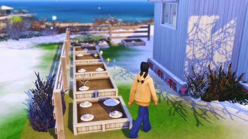 A new yearThe snow is clearing and Kaila is hosting yard sales again (with Salim’s help)