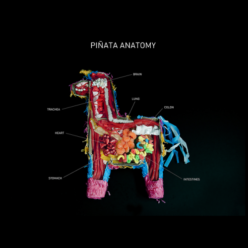  Piñata Anatomy Have you ever wondered what the inside of a piñata looked like?Source and copyright: