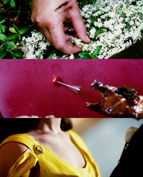 iamnevertheone:  you don’t forget the face of the person who was your last hope
