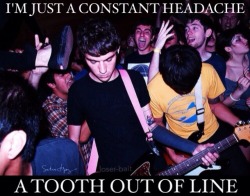 loser-bait:  Joyce Manor // Constant Headache