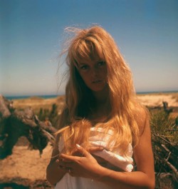 missbrigittebardot:  Brigitte Bardot on the