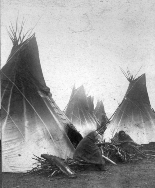 thebigkelu: Two Native American (Dakota) women sit next to wood bundles and tepees, probably Dakota 