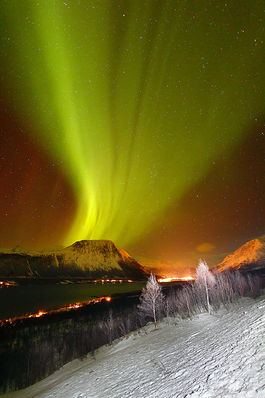 wonderous-world:  Balsfjord, Norway by Silvia &amp; Juan 