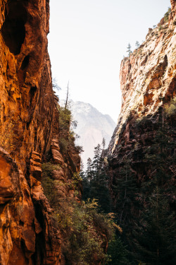 christophermfowler:Angels Landing | Zion National Park | October 2017