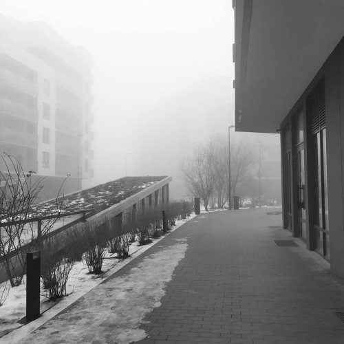 This new post-punk album looks promising #warsaw #ursynow #fog www.instagram.com/p/CLoIxASg0