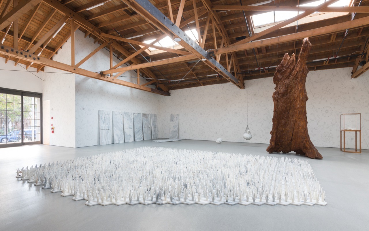 Ai WeiWei, UTA Artist Space