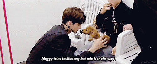 pinkudan:how to be that dog 