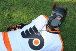 @secapup in his goalie gear and neoprene pup hood.